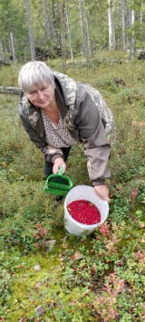 Пришла пора заготовлять осенние витамины на зиму.